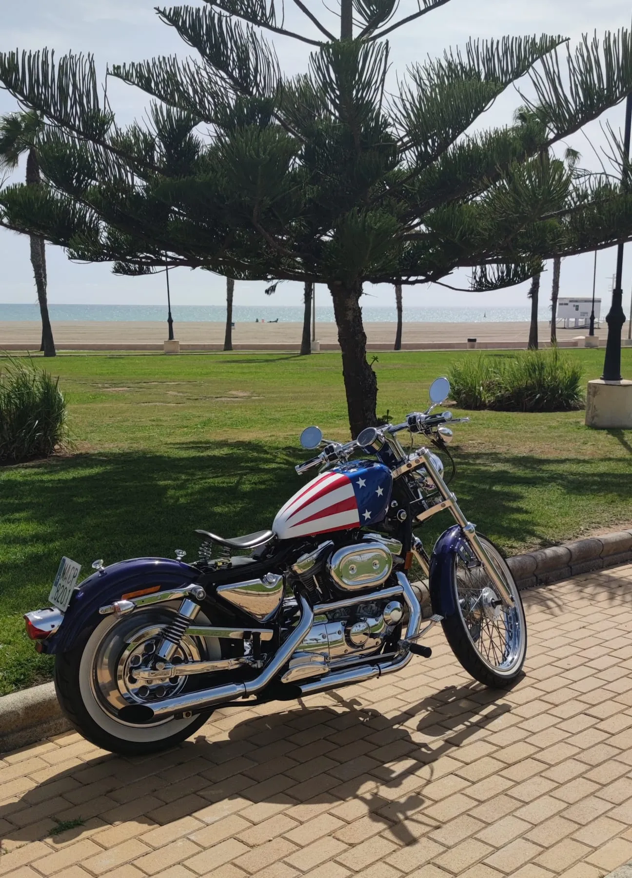 AMERICAN FLAG - FXBB