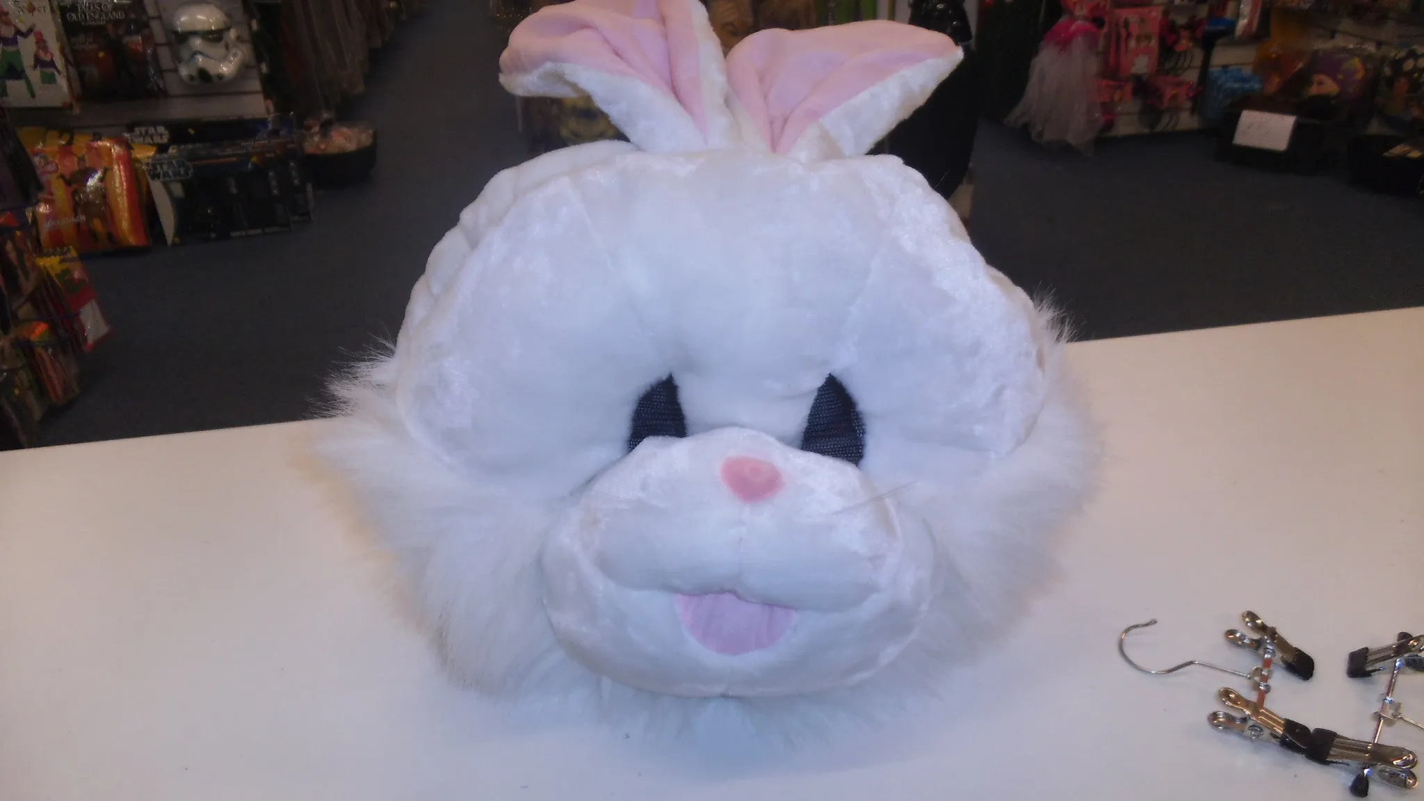 Easter Bunny or Rabbit
