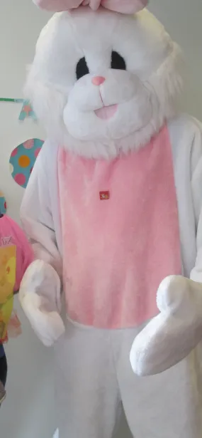 Easter Bunny or Rabbit