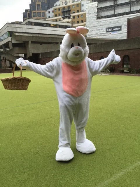 Easter Bunny or Rabbit