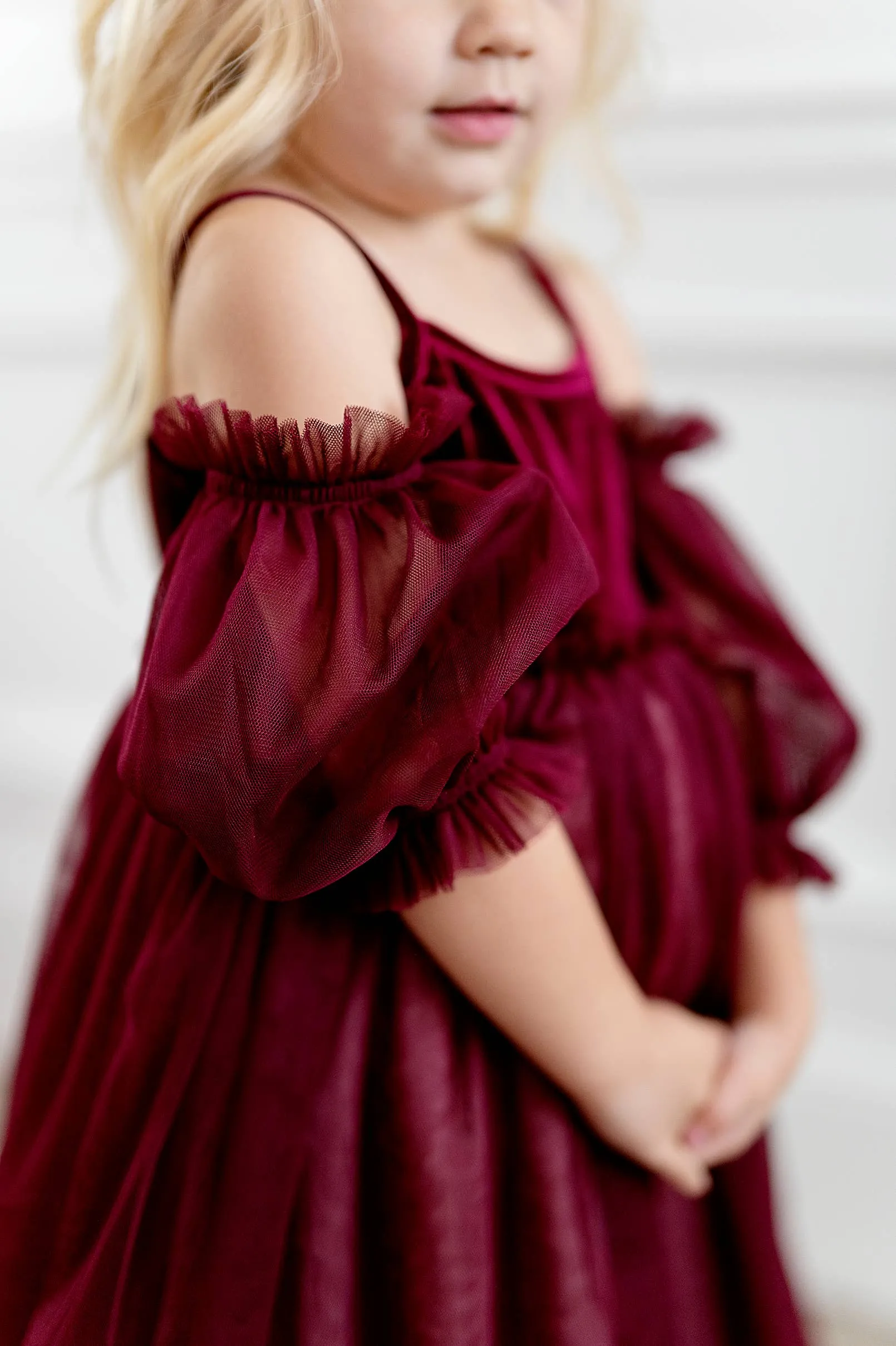 Everly Dress in Plum Ombre| Special Occasion
