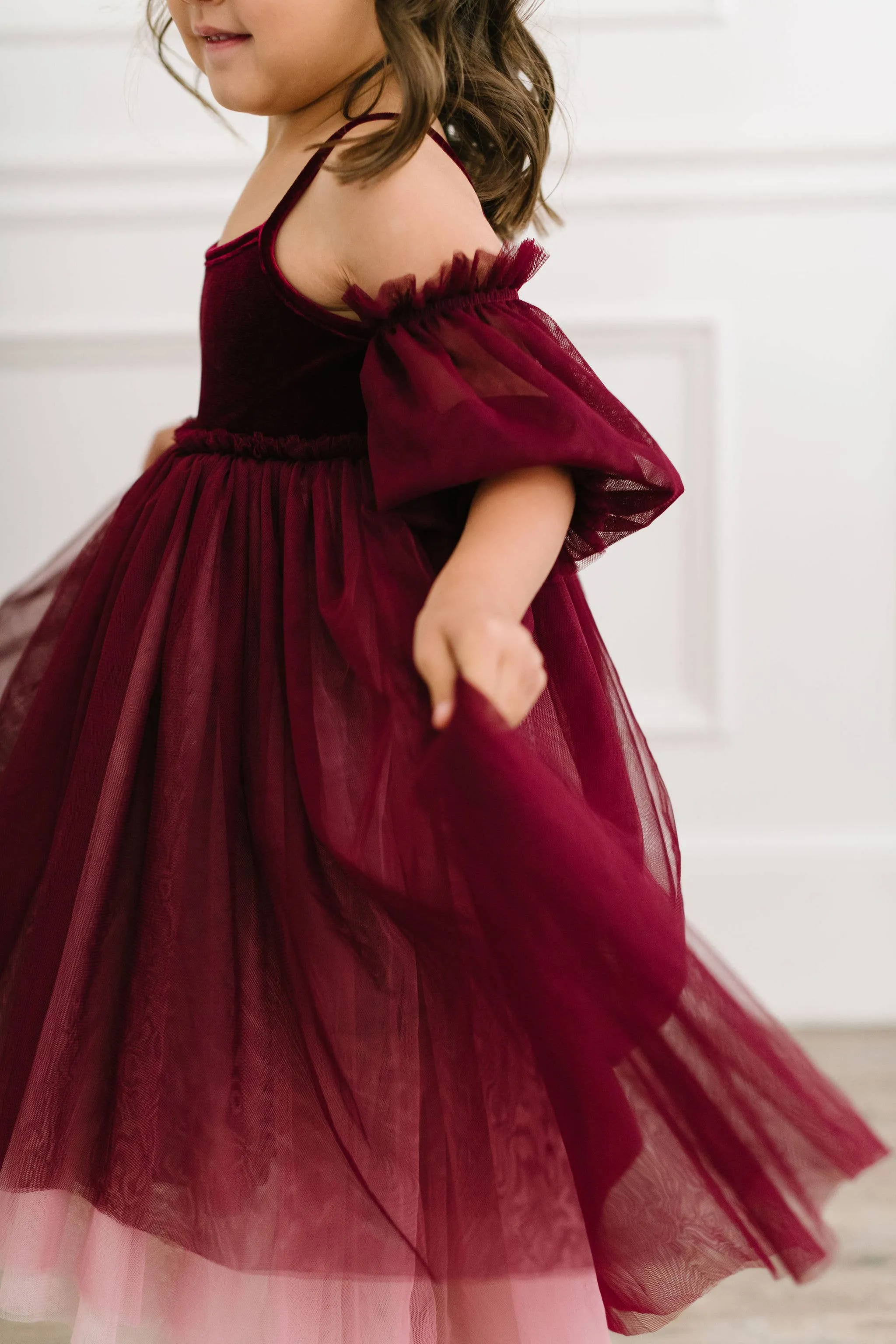 Everly Dress in Plum Ombre| Special Occasion