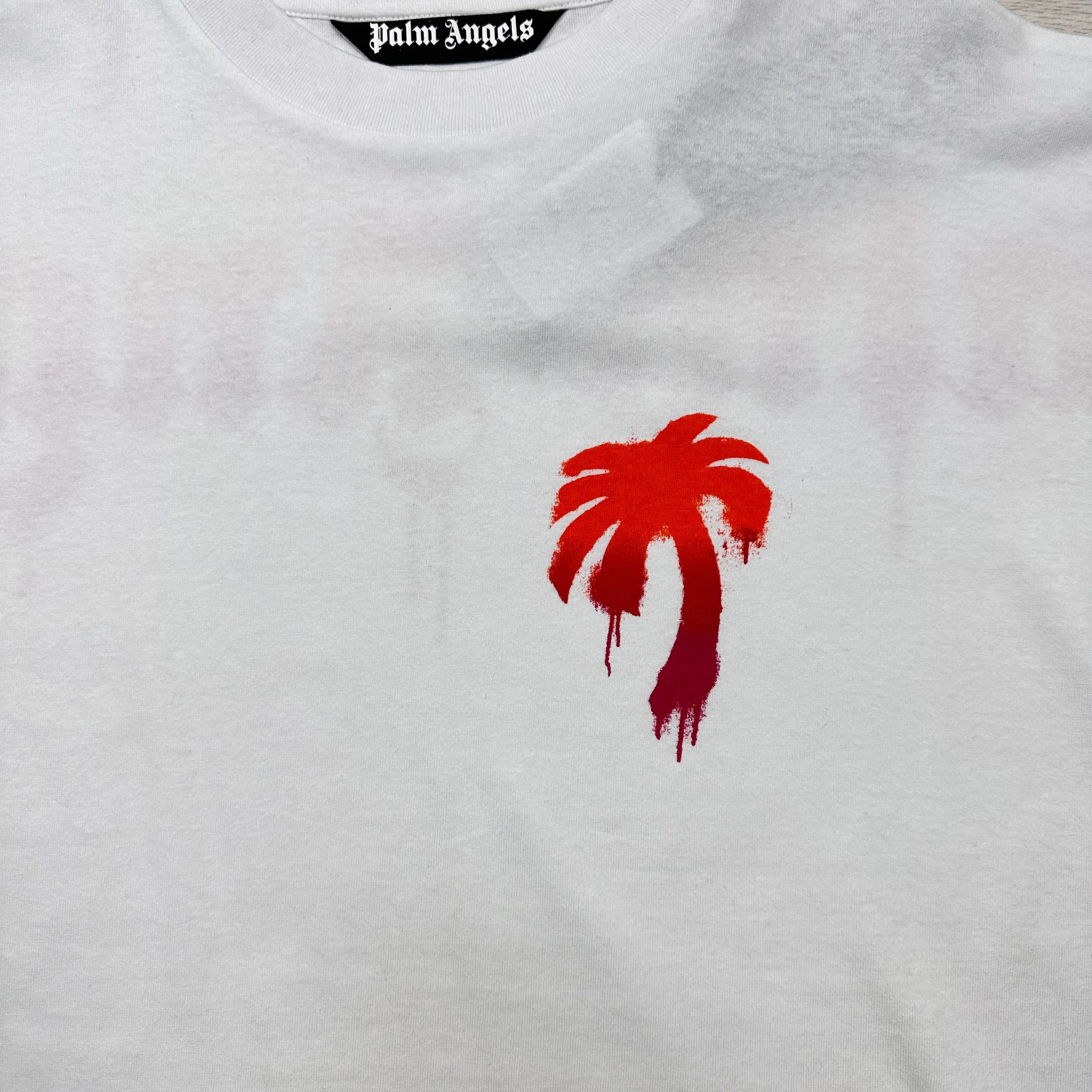 Sprayed Palm Logo